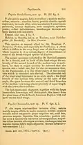 A página 101, do Transactions of the Entomological Society of London de 1872, com o texto da descrição original de P. burchellanus por John Obadiah Westwood, que a inicia em latim.