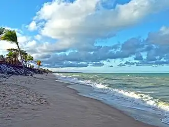 Trecho da Praia de Novo Prado