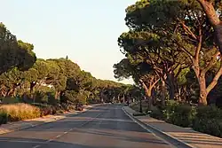 Estrada entre Loulé e Quarteira