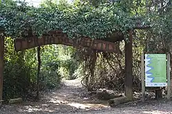 Trilha do Vinhático