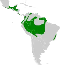 Distribuição da surucuá-de-coleira da América do Norte até a América do Sul