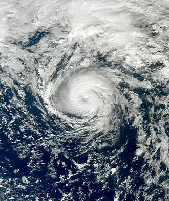 imagem ilustrativa de artigo Tempestade tropical Grace (2009)