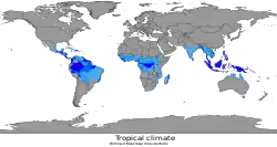 Os moluscos da família Conidae são particularmente bem distribuídos nas costas e oceanos das regiões de clima tropical da Terra, principalmente na região do Indo-Pacífico.