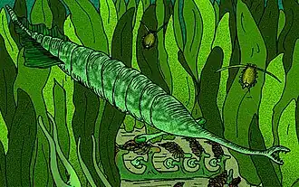 Tullimonstrum gregarium Um vertebrado marinho