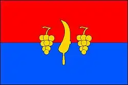 Bandeira de Tvarožná Lhota