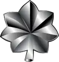Exército dos Estados Unidos (Lieutenant Colonel)