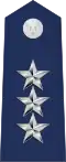 EUA: Lieutenant general