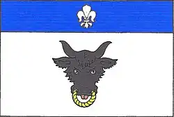 Bandeira de Věchnov
