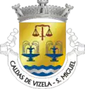 Brasão de armas de São Miguel das Caldas de Vizela
