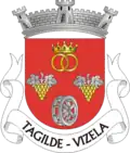 Brasão de armas de Tagilde