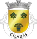 Brasão de armas de Ciladas (São Romão)