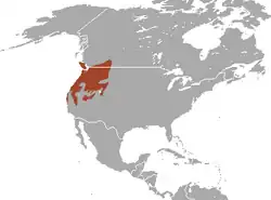 Área de distribuição de Sorex vagrans