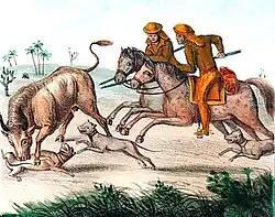 Vaqueiros no Sertão