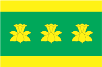 Bandeira oficial de Vara