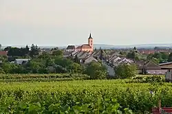 Velké Bílovice visto do nordeste