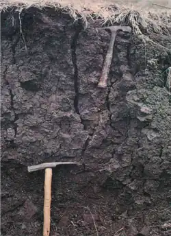 Vertissolo Ebânico (SIBCS, 2018)