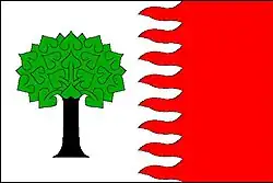 Bandeira de Veselý Žďár