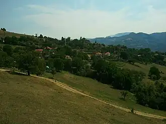 Vue générale de Veseniće