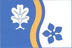 Bandeira de Vidochov
