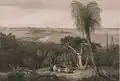 Vista do lado sul do som do rei George, uma gravura por John Byrne (1786-1847), onde a direita, pode-se observar uma Kingia australis
