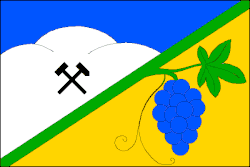Bandeira de Vinary