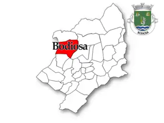 Localização no município de Viseu