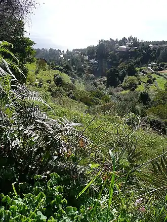 Vista dos Prazeres a partir da levada.