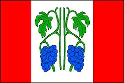 Bandeira de Chuchelná