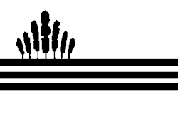 Bandeira de Kunštát