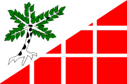 Bandeira de Březová