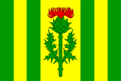 Bandeira de Holotín
