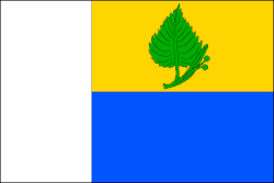 Bandeira de Hosty