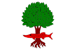 Bandeira de Litostrov