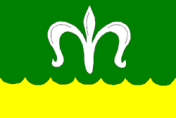 Bandeira de Nesvačilka