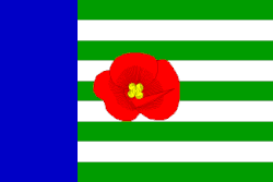 Bandeira de Veselí