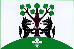 Bandeira de Vlčkovice v Podkrkonoší