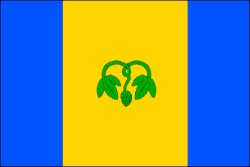 Bandeira de Vojkovice