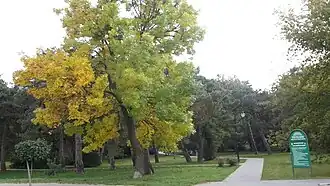 Antigo cemitério judeu, agora Parque da Cidade