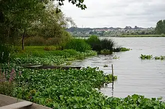 Pateira de Fermentelos