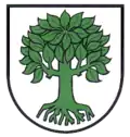 Brasão de Bubsheim