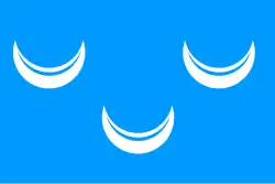 Bandeira oficial de Wassenaar