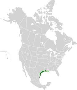 Distribuição do jaguarundi da costa do golfo