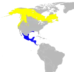 Área de distribuição de C. pusilla Época de reprodução Época de inverno