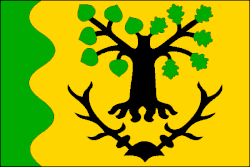 Bandeira de Zádub-Závišín
