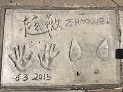 Impressões digitais de Zhao