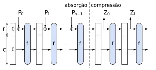 Illustration of the sponge construction