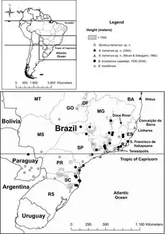 Distribuição geográfica de B. bahiensis e Bombus brasiliensis[2]