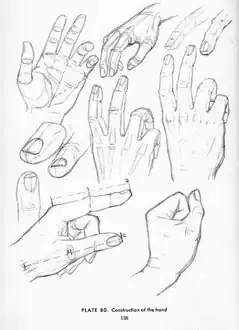 Do livro Drawing the Head and Hands