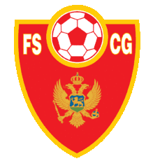Associação de Futebol de Montenegro