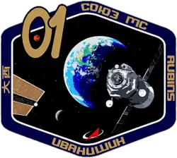 Insígnia da missão